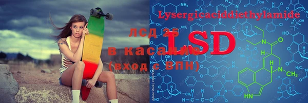PSILOCYBIN Каменногорск