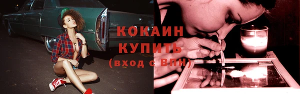 бутират Каменка