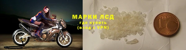 PSILOCYBIN Каменногорск