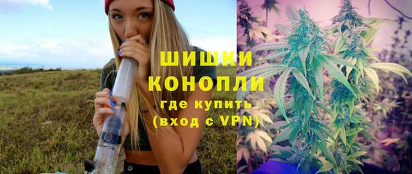 PSILOCYBIN Каменногорск