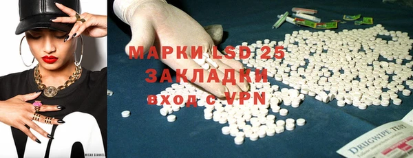 PSILOCYBIN Каменногорск