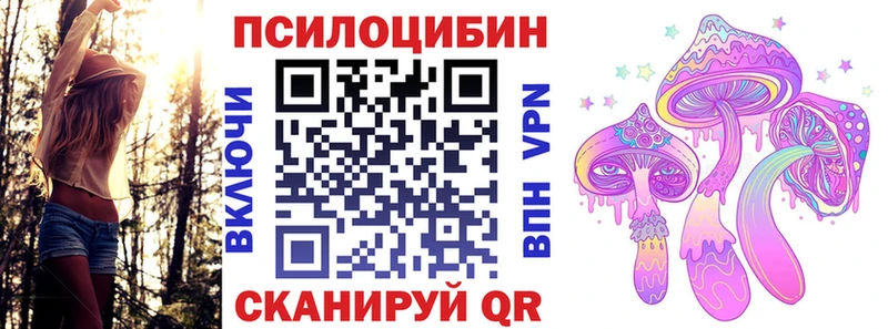 Купить Невель Псилоцибиновые грибы Psilocybe